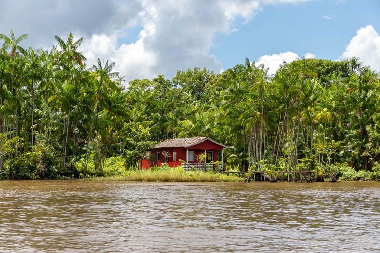 Breves sur Marajo Island, Brésil