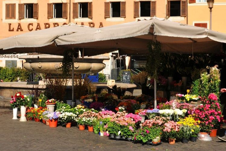 Le Campo dei Fiori, c'est aussi un marché aux fleurs