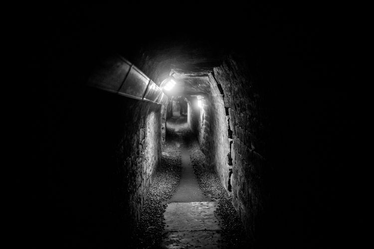 Les pénombres des catacombes de Paris