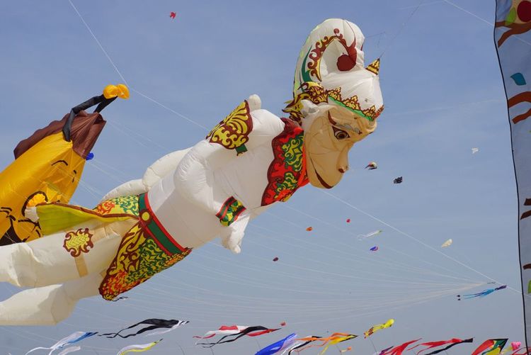 Cerf-volant asiatique aux rencontres de Berck-sur-Mer