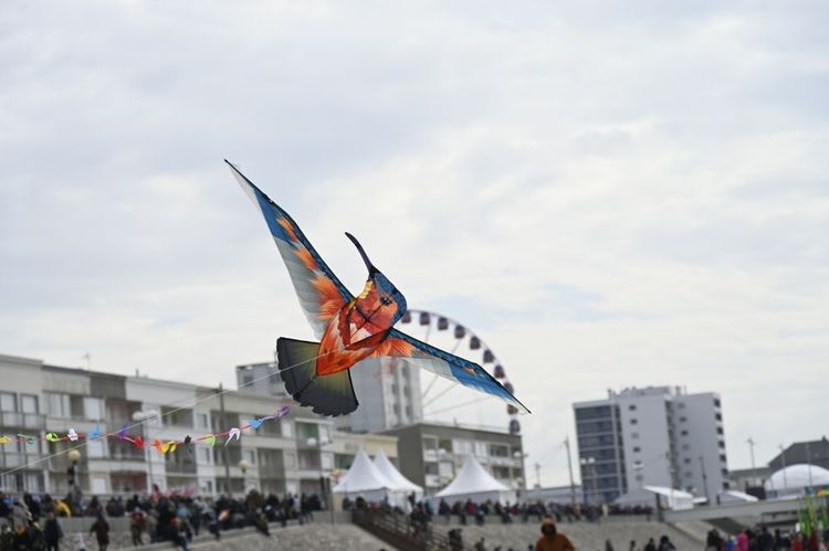 Cerf-volant colibri au dessus de Berck-sur-Mer