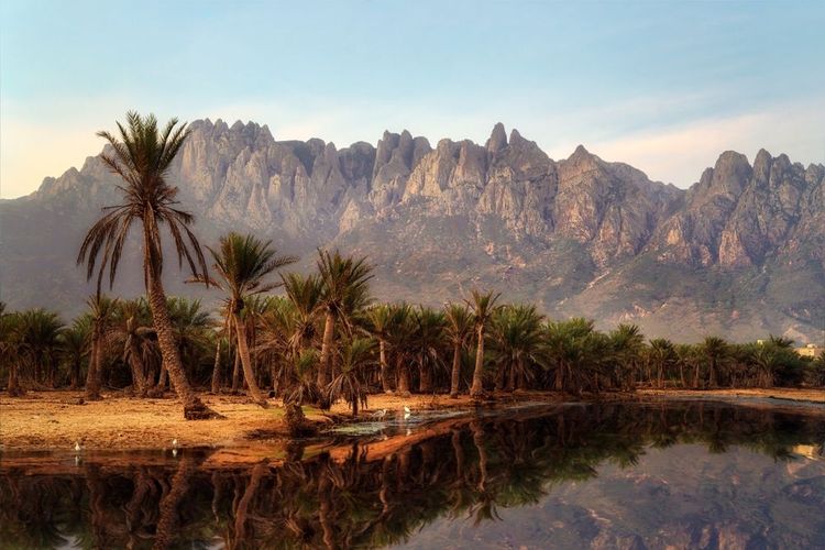 Chaîne de montagne du plateau de Diksam à Socotra, Yémen, prise en novembre