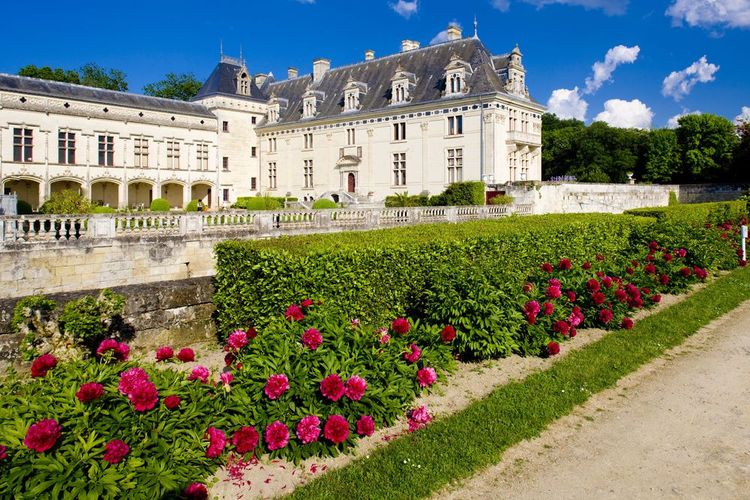 Château de Brézé