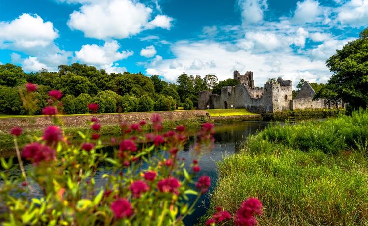 Château de Desmond à Adare