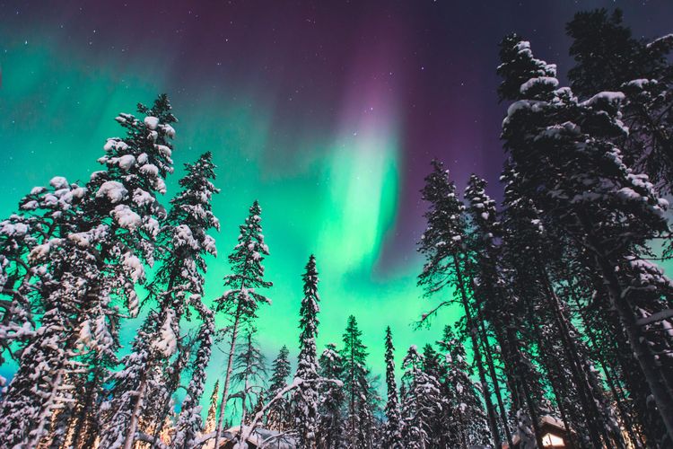 Des aurores boréales dans le ciel scandinave.
