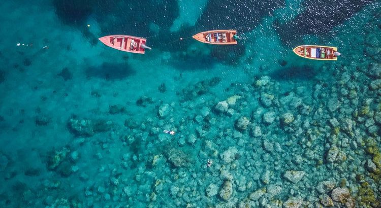 Des pêcheurs dans la mer des Caraïbes sur l'île de la Martinique