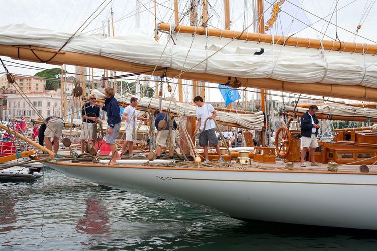 Au port, le public peut découvrir les voiliers de plus près