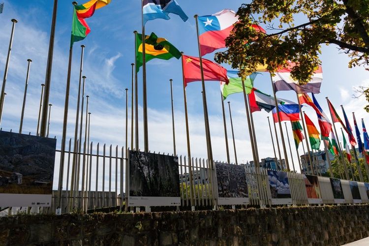 Drapeaux flottant devant le siège de l'UNESCO