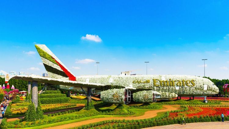 Dubai Miracle Garden