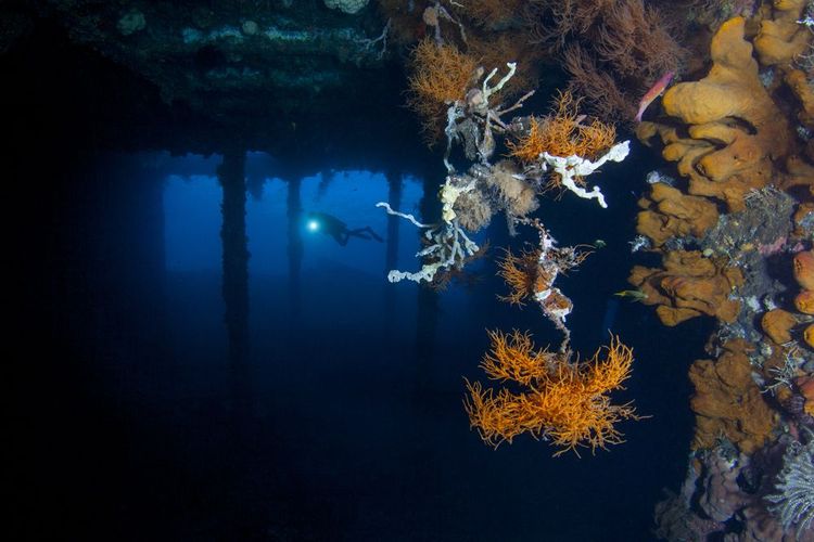 Exploration de l'USAT Liberty à Tulamben, Bali