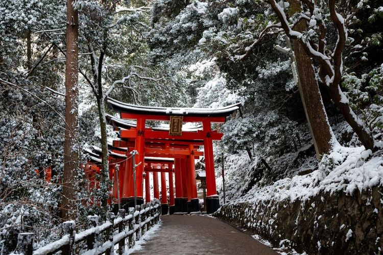 L'entrée du tunnel de toriis au sein du complexe de Fushimi Inari-taisha