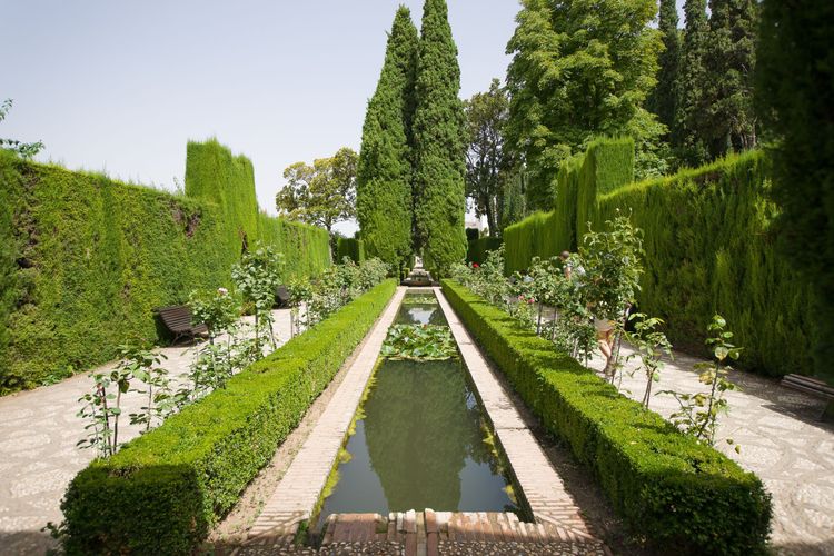 L'un des nombreux bassins en forme de couloir du Generalife