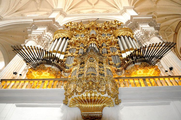 Les belles orgues de la cathédrale