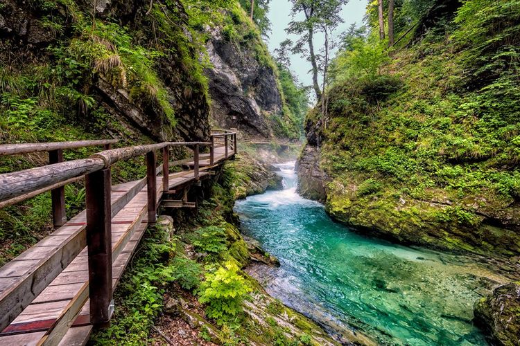 Gorges de Vintgar, Slovénie