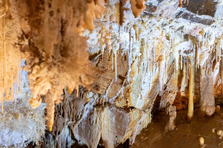 Les stalactites qui ornent les plafonds de la grotte