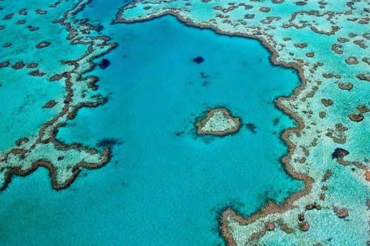 Grande barrière de Corail en Australie