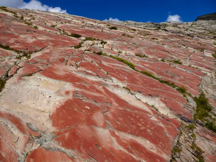 Gravures de roche dans la Vallée des Merveilles