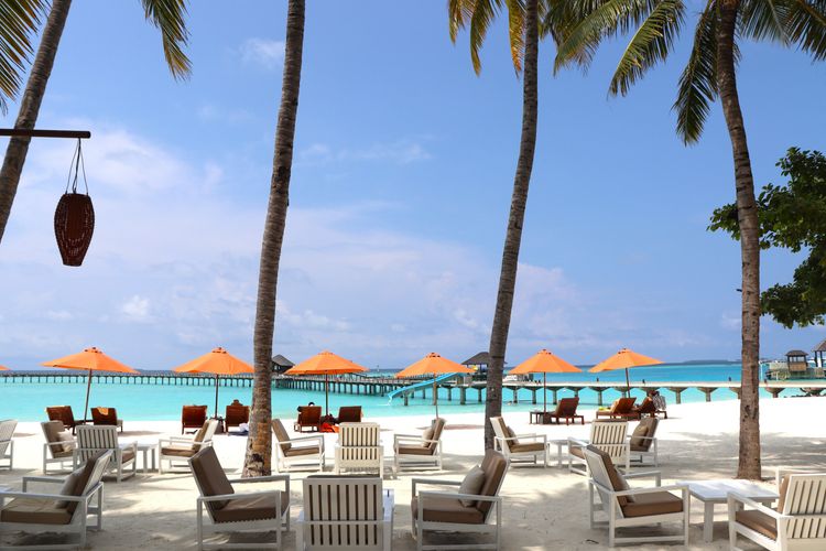 Le bar de l'hôtel donnant sur la plage