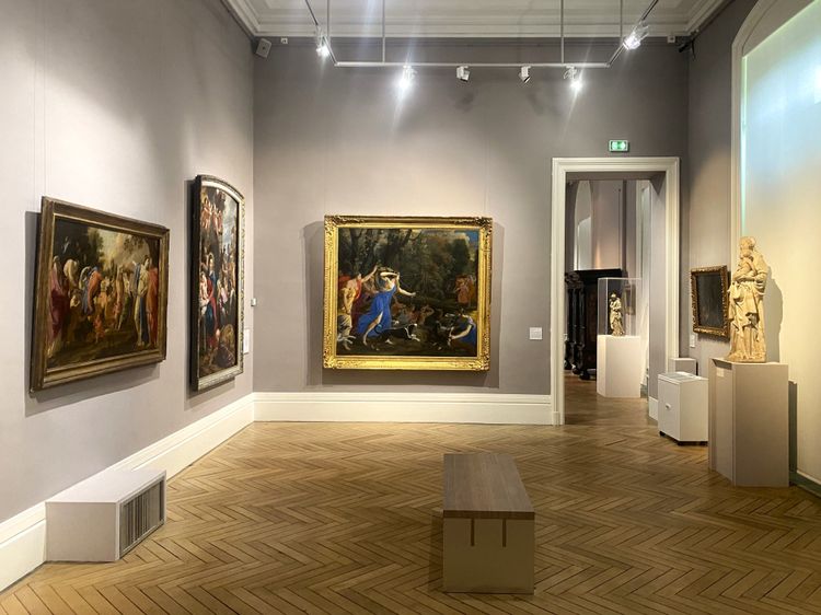 Musée de Tessé, Le Mans