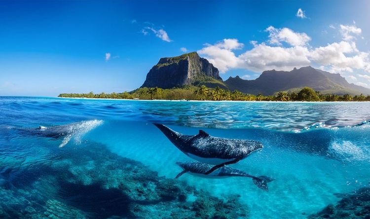 Océan indien, baleines et paysage luxuriant à l'île Maurice