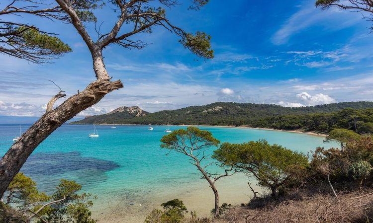 Ile de Porquerolles