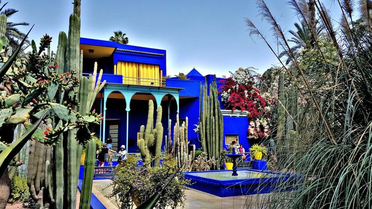 Jardin Majorelle, Marrakech