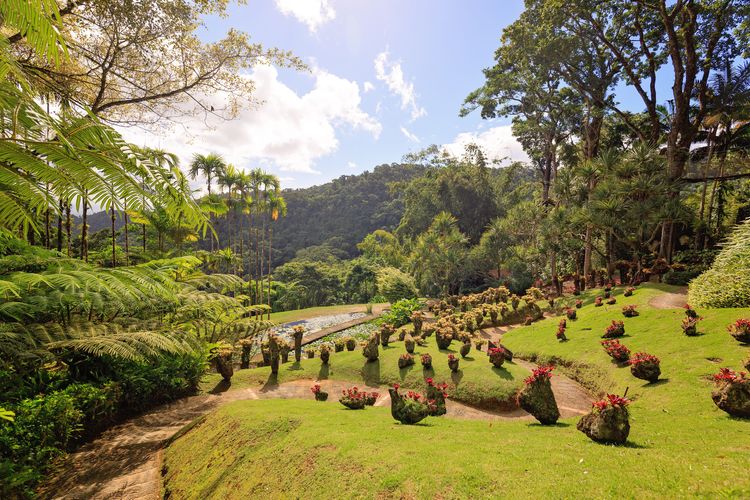 Jardin de Balata, Martinique