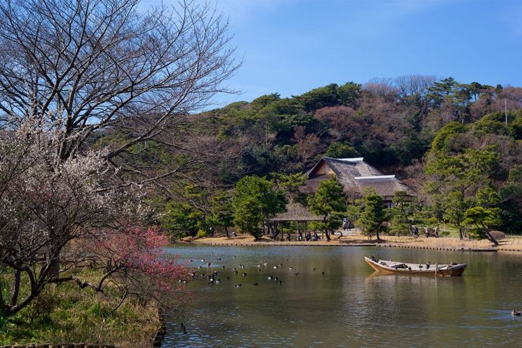 Jardin de Sankei-en, Japon
