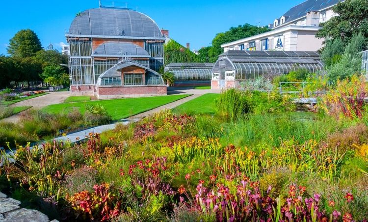 Jardin des plantes, Nantes