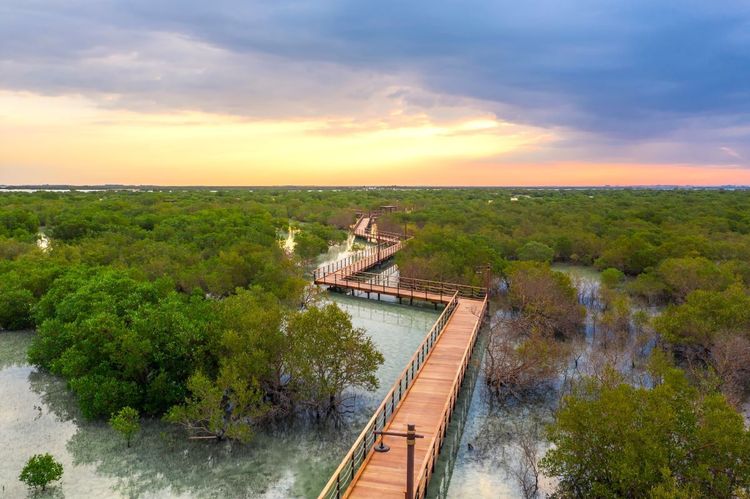 La passerelle en bois permet de marcher sur l’eau