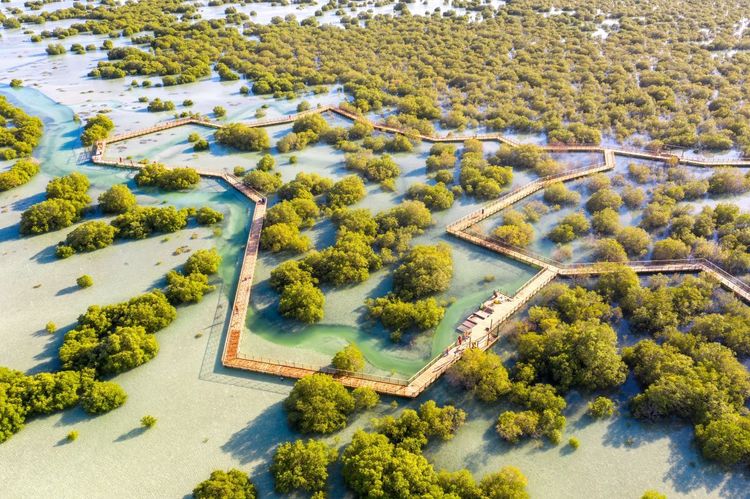 Vue aérienne sur le parc de la mangrove de Jubail (Jubail Mangrove Park)