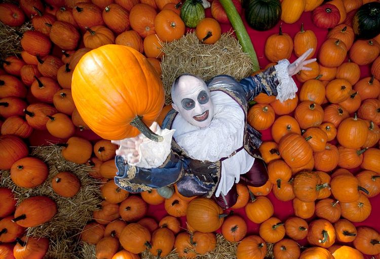 Vous aussi venez prendre votre bain de citrouilles, c'est Halloween !