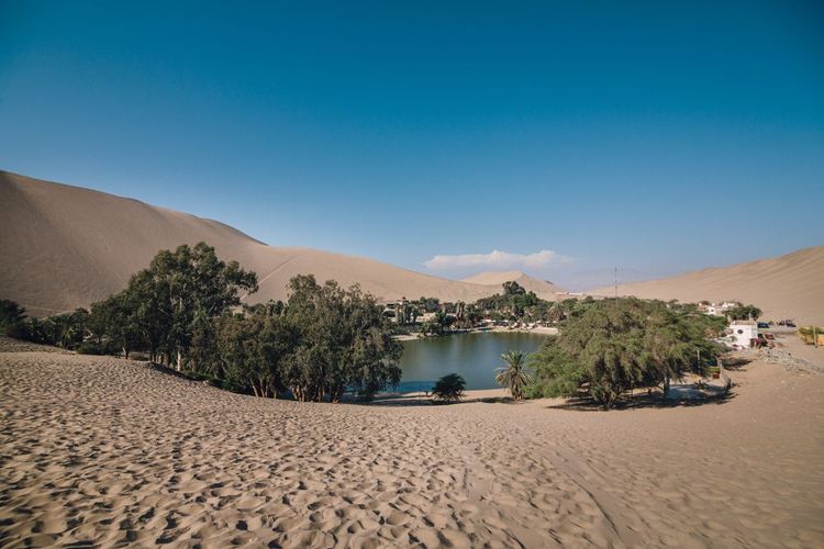L'oasis rafraichissant de Huacachina