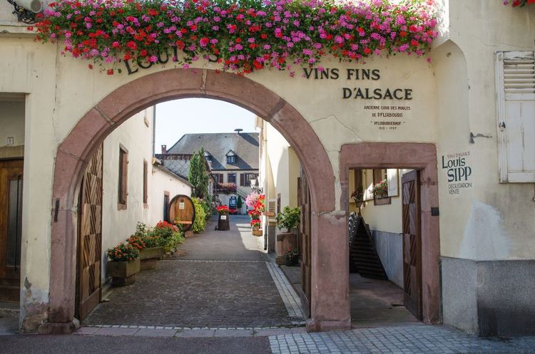 L'entrée du vignoble Louis Sipp à Ribeauvillé en France