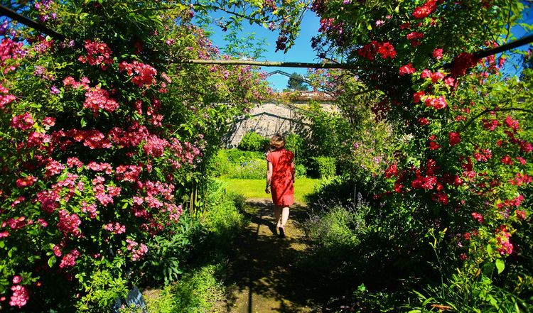 Rosiers à la Bussière, Loiret