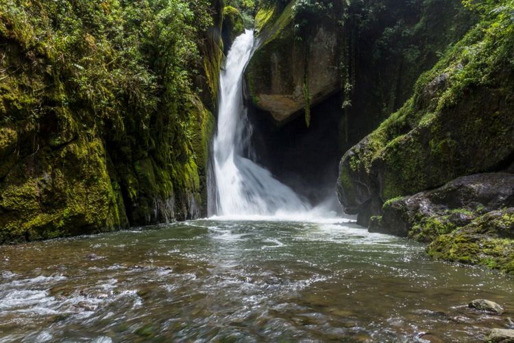 La cascade de la rivière Savegre au Parc San Gerardo de Dota