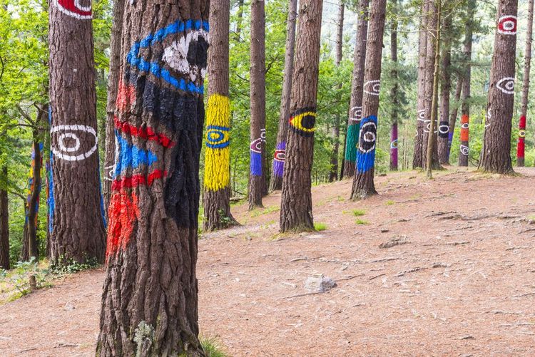 La forêt d'Oma, Espagne