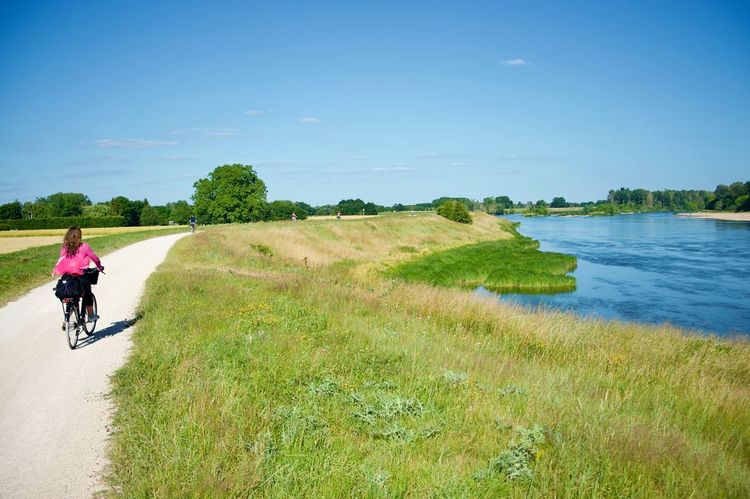 La piste cyclable de la Loire à vélo