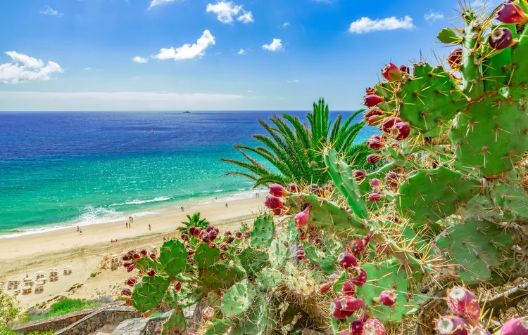 La plage d'Esquinzo sur l'île de Fuerteventura, Canaries, Espagne