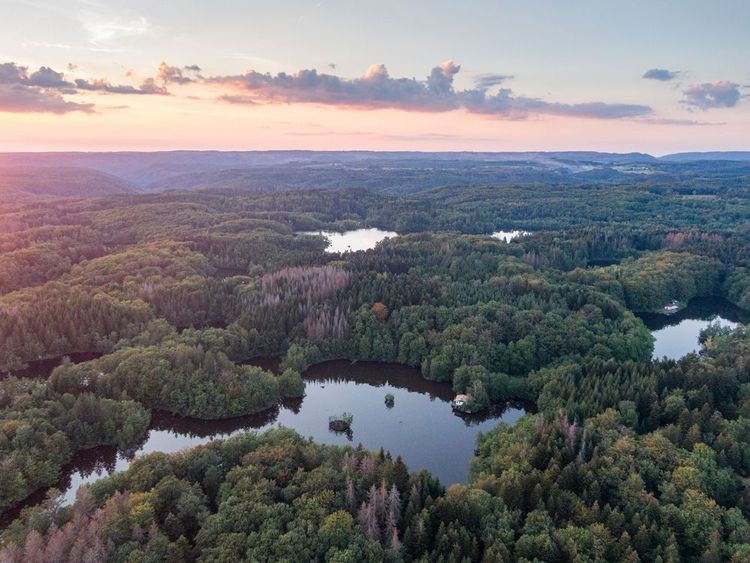 La vue impressionnante d'une partie de la région des Mille Etangs