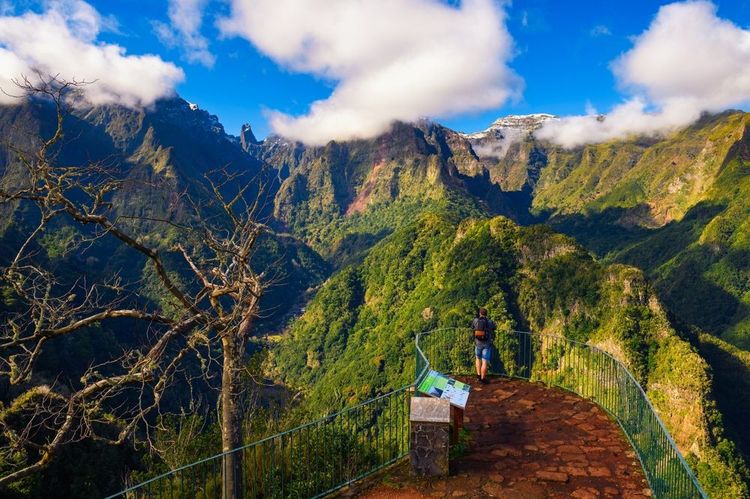 La vallée de la Ribeira da Metade, île de Madère