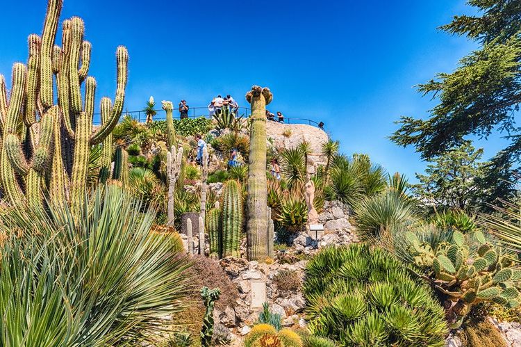 The vegetation of Eze's exotic garden