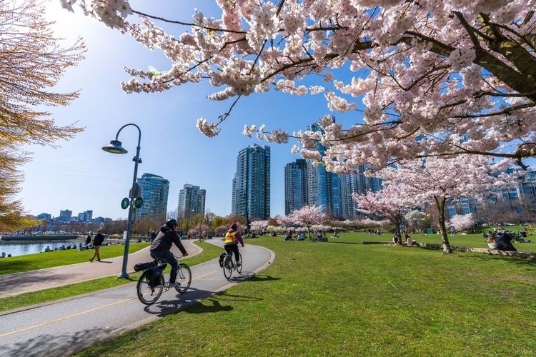 Le David Lam Park à Vancouver, Canada