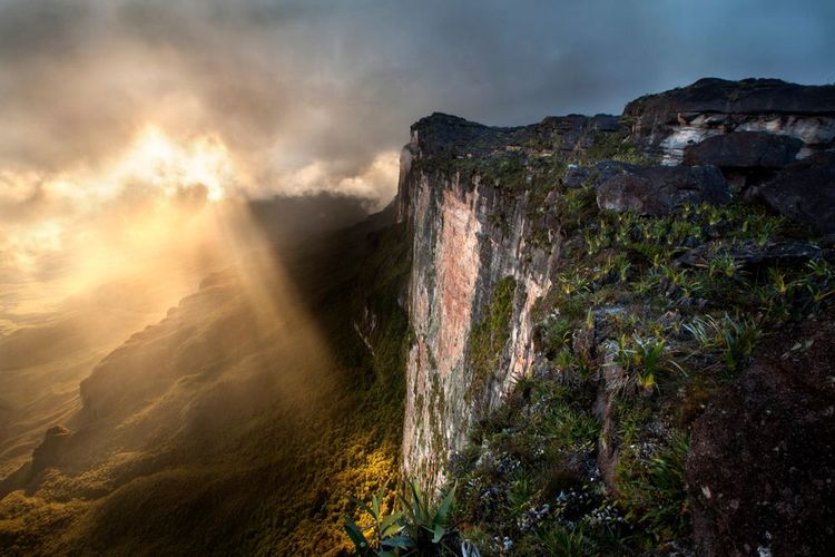 Le Mont Roraima au Venezuela