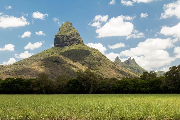 The Black River Goerges Piton, Mauritius