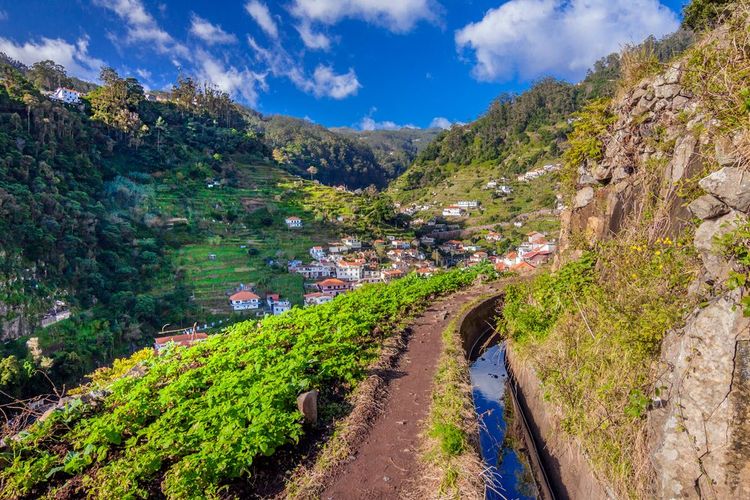 Le célèbre sentier de randonnée de la levada, Madère, Portugal