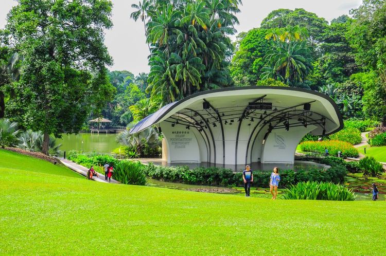 Le jardin botanique de Singapour