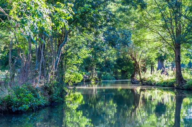 Le marais poitevin