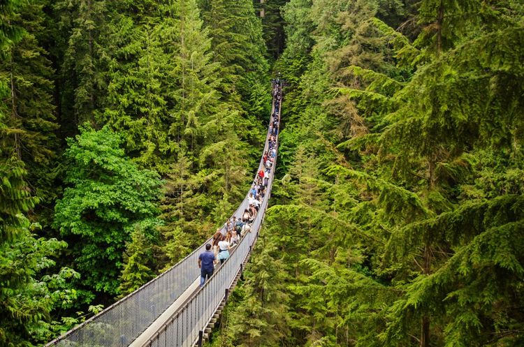 Le pont Capilano en Colombie-Britannique, Canada