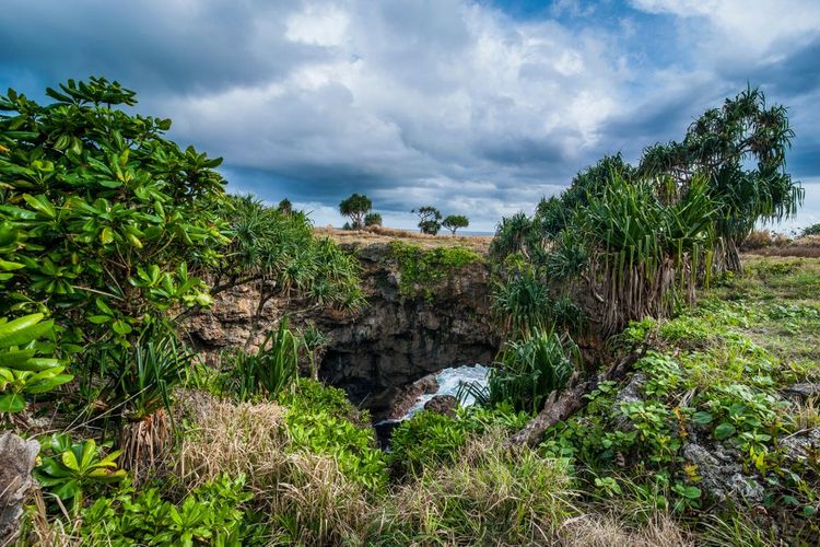 Le pont naturel de Ha'ateiho sur la plus grande île de l'archipel, Tongatapu